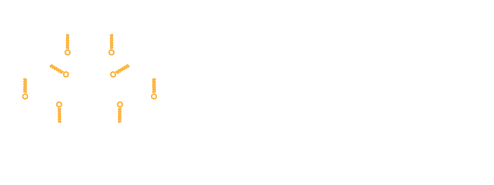 Neuroscience Acupuncture Conference